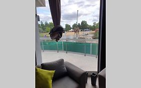 Atypique, appartement Bar , fonctionnel et cosy avec grande terrasse face au Cher